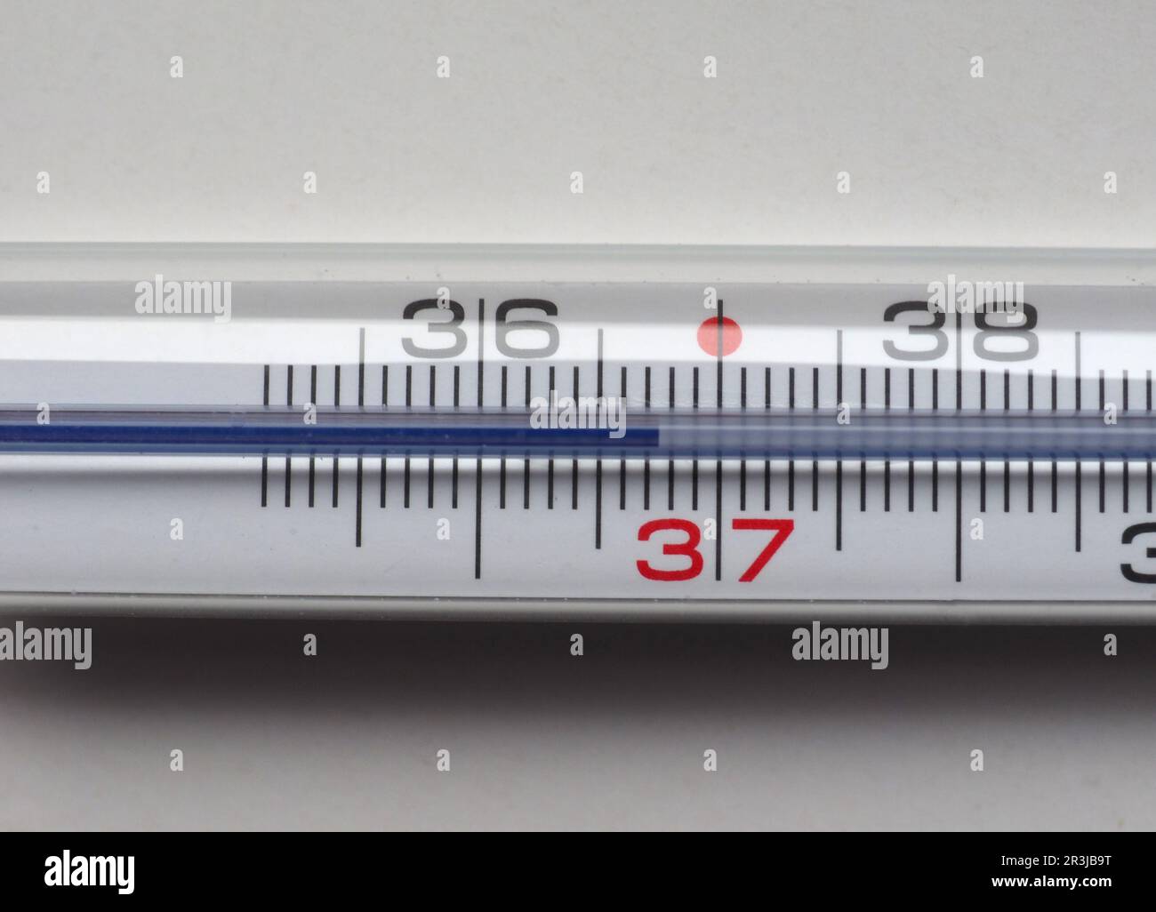 https://c8.alamy.com/comp/2R3JB9T/body-temperature-thermometer-2R3JB9T.jpg