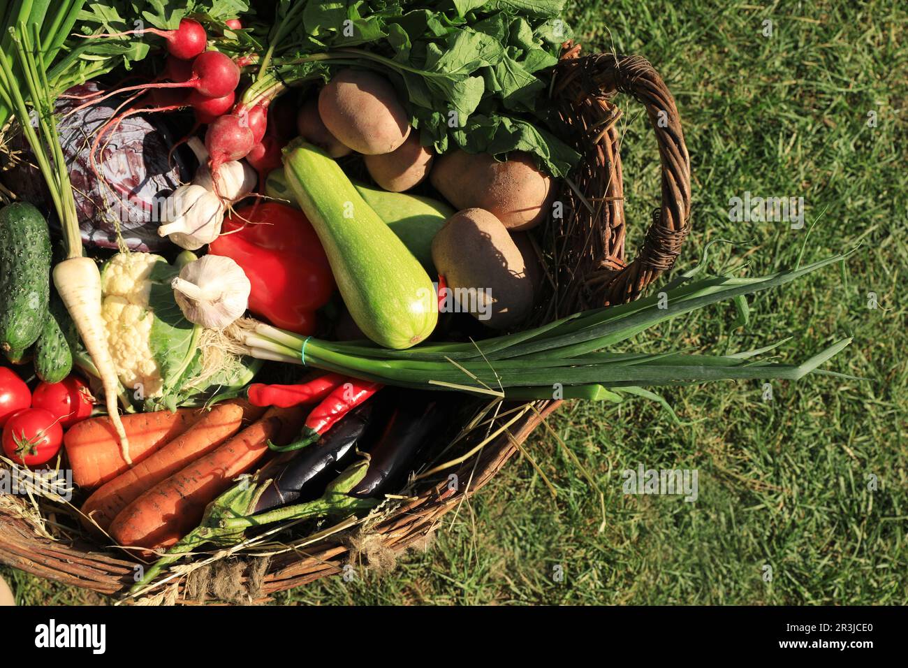 Different fresh ripe vegetables in wicker basket on green grass, top ...