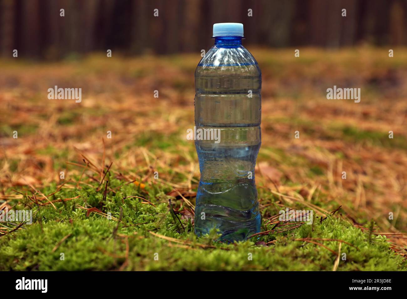 Plastic bottle of fresh water on ground in forest Stock Photo Alamy