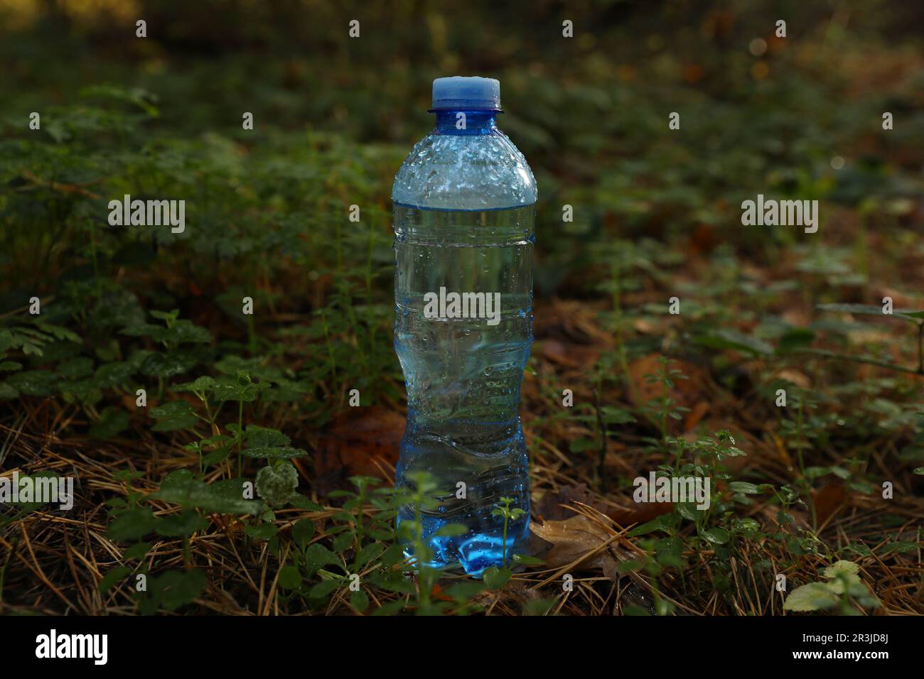 Plastic bottle of fresh water on green grass outdoors Stock Photo - Alamy