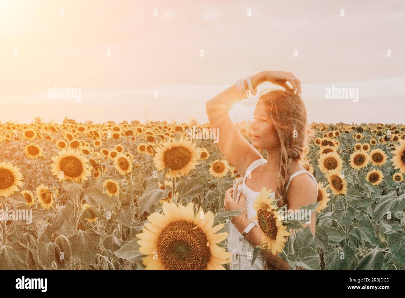 Woman in Sunflower Field: Happy girl in a straw hat posing in a vast ...