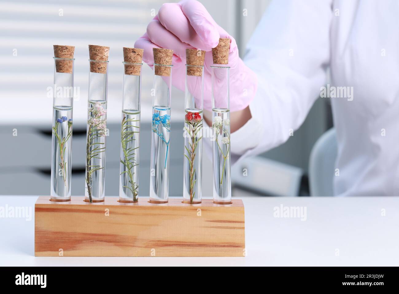 Cork tube hi-res stock photography and images - Alamy