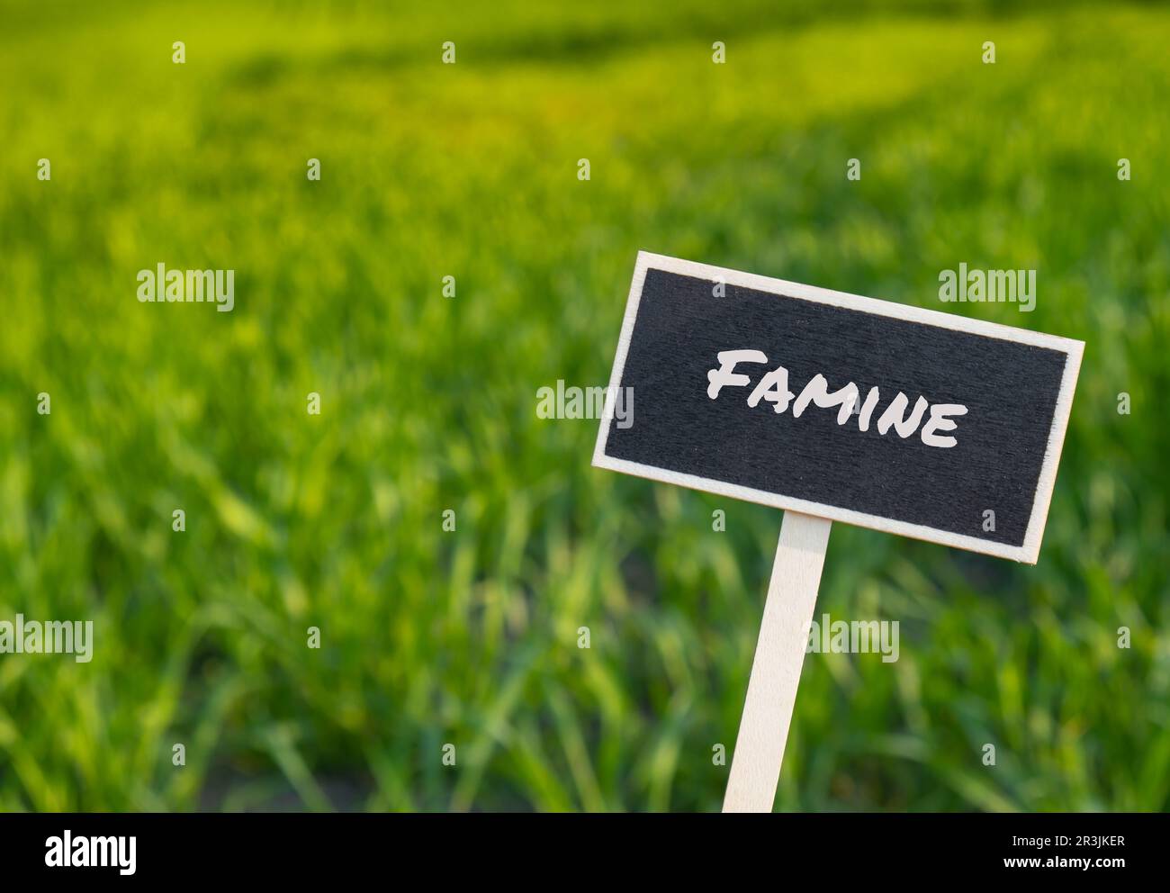 Wooden information label sign with text FAMINE against defocused agriculture field message. Global hunger, inflation, high price Stock Photo