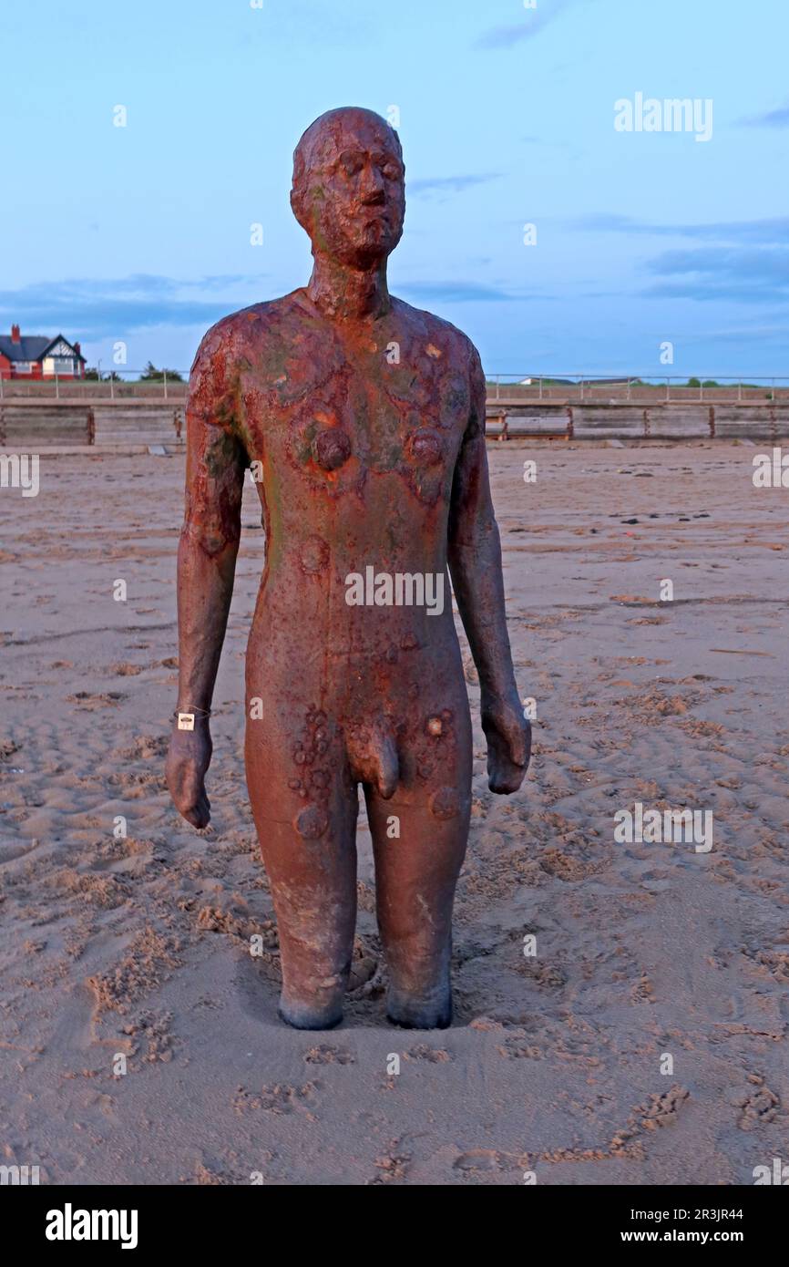 Rusted iron figure from Antony Gormley’s Another Place sculpture installation standing on Crosby Beach near Formby on the Merseyside coast at sunset Stock Photo