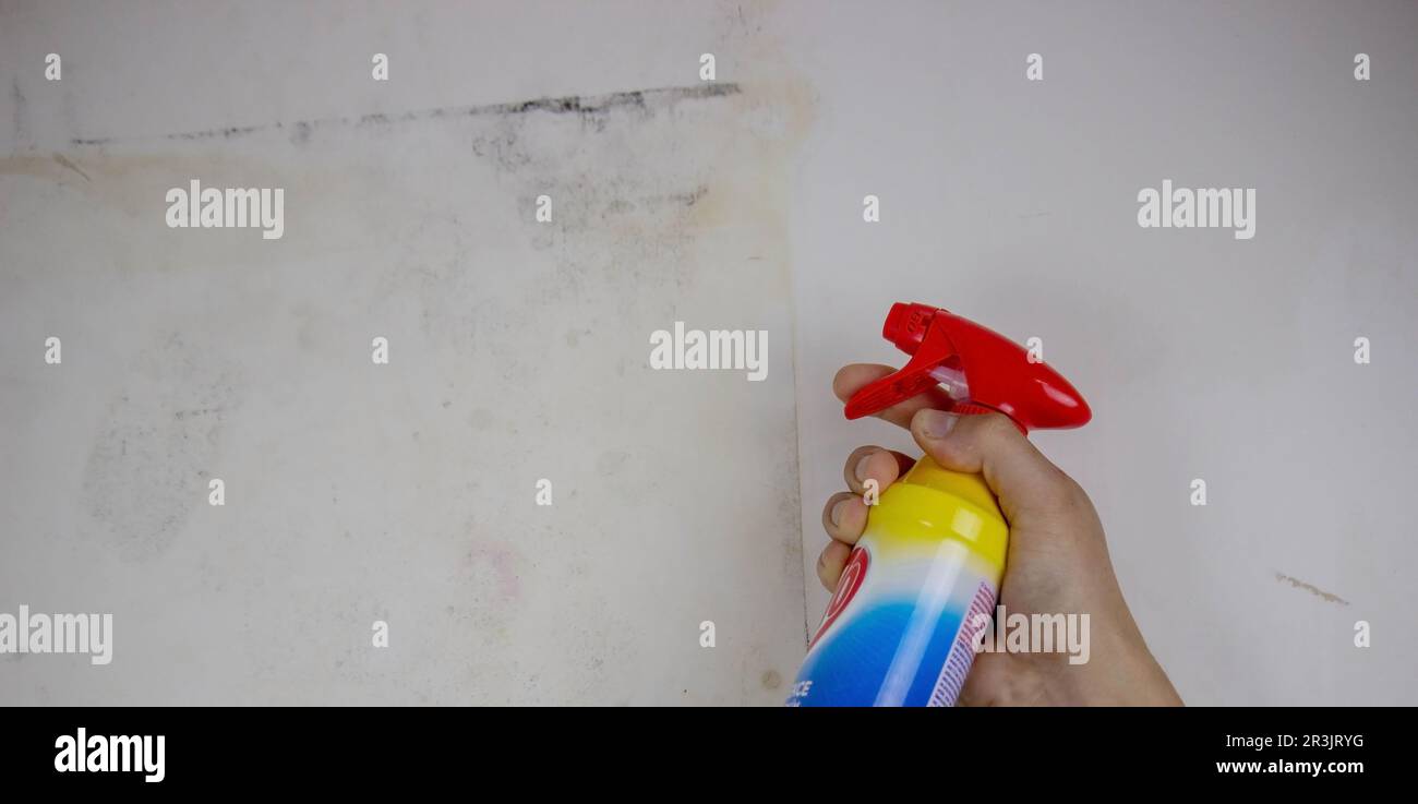 removing black mold from the wall. selective focus Stock Photo Alamy