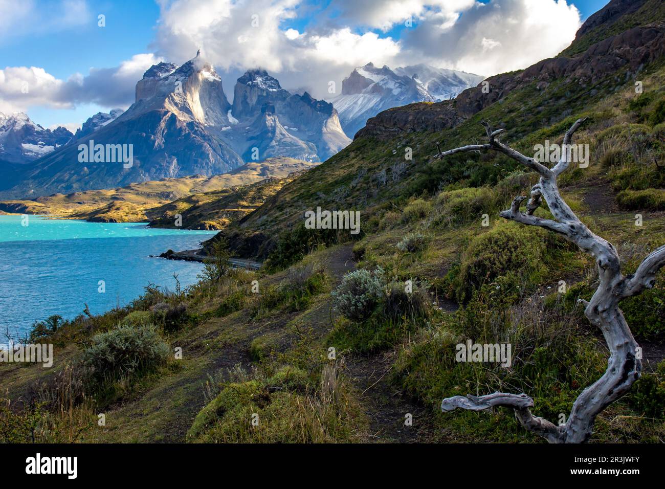 Pehoe lake in Torres del Paine chilean national park in Patagonia Stock Photo