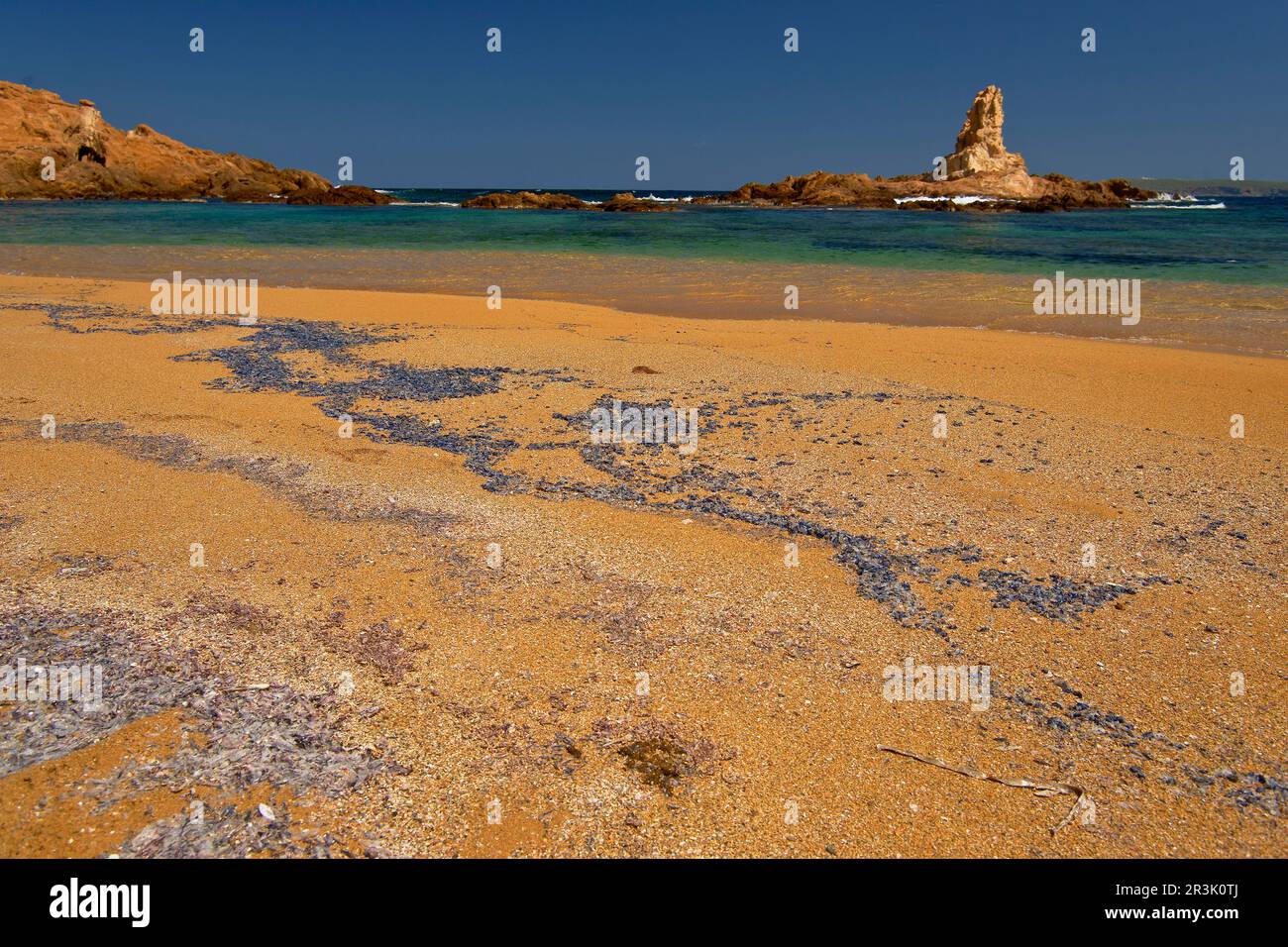 Medusas españa hires stock photography and images Alamy