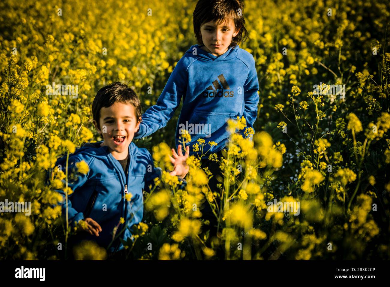 niños corriendo entre flores amarillas. Ses Salines, Mallorca. Stock Photo