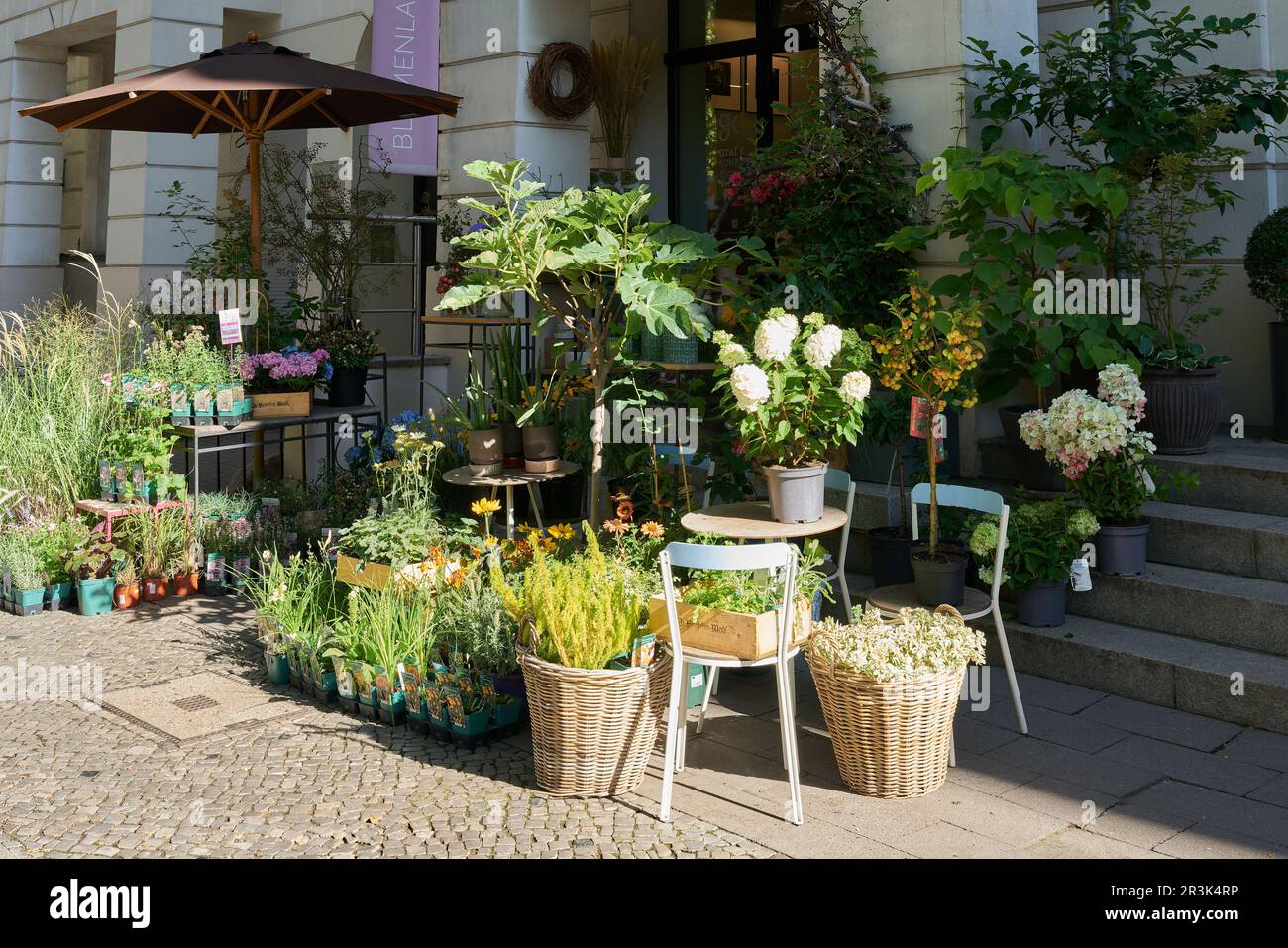 Flower store in a quiet street in the center of Berlin Stock Photo Alamy