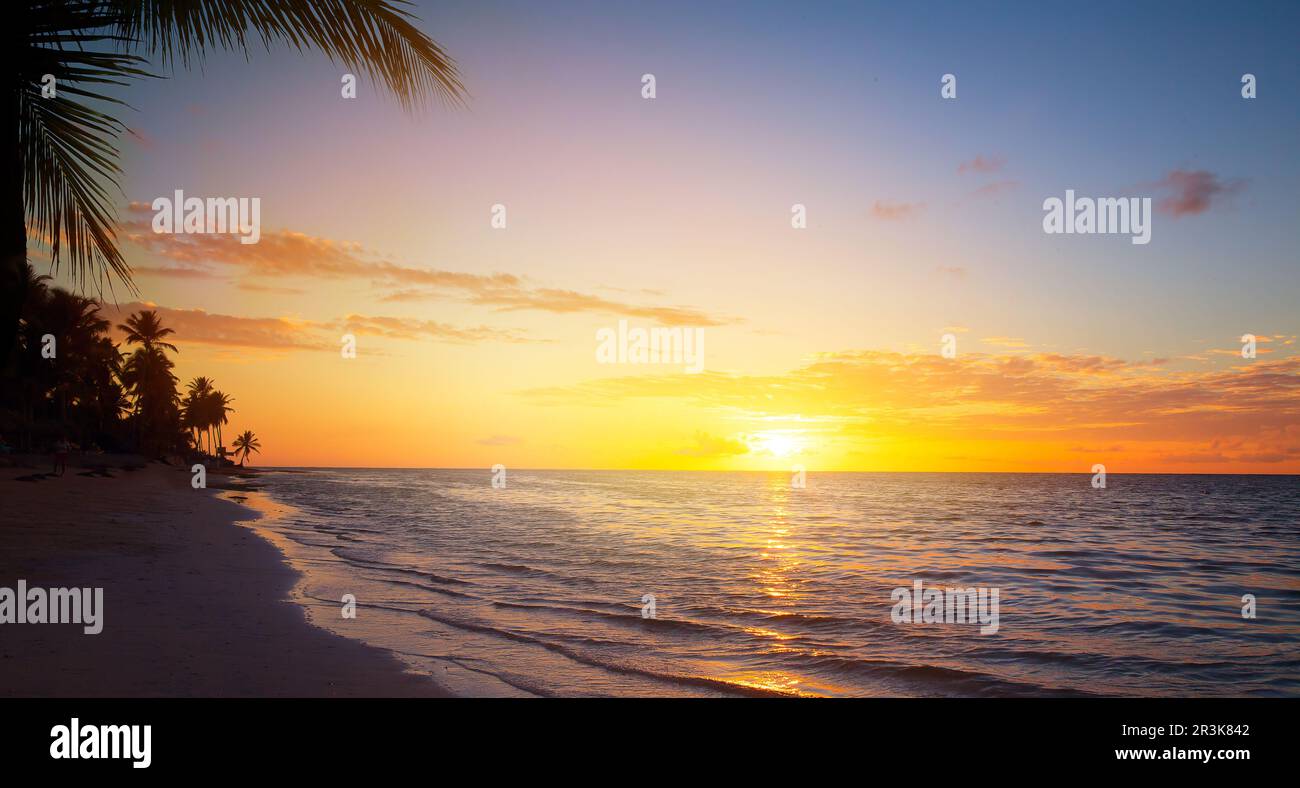 Art Beautiful sunrise over the tropical sandy beach; summer vacation banner design with copy space for text Stock Photo