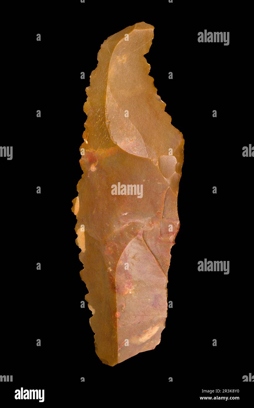 Serrated flint knife. Neolithic period. North Africa. 13,6 cm Stock