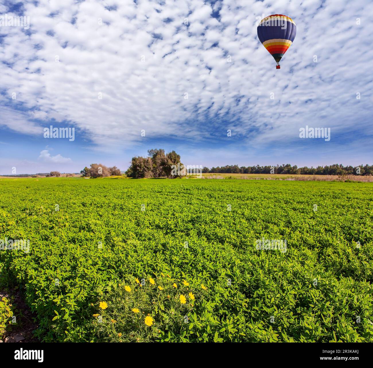 Spring Air Balloons Hot air spring flowers hi-res stock photography and images - Alamy