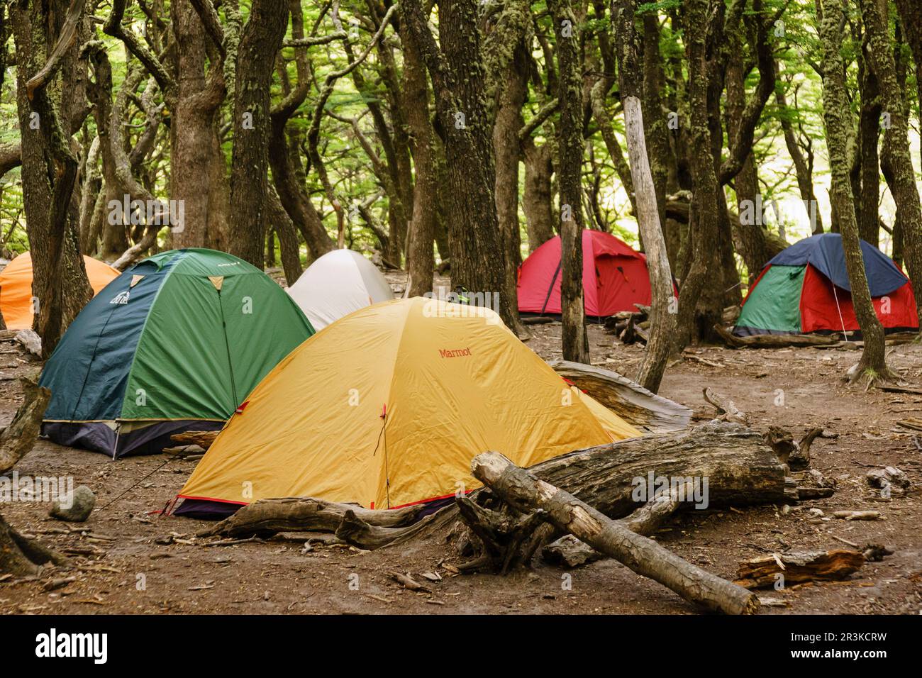 tiendas de campaña , campamento Poincenot,, parque nacional Los Glaciares, republica Argentina,Patagonia, cono sur, South America. Stock Photo