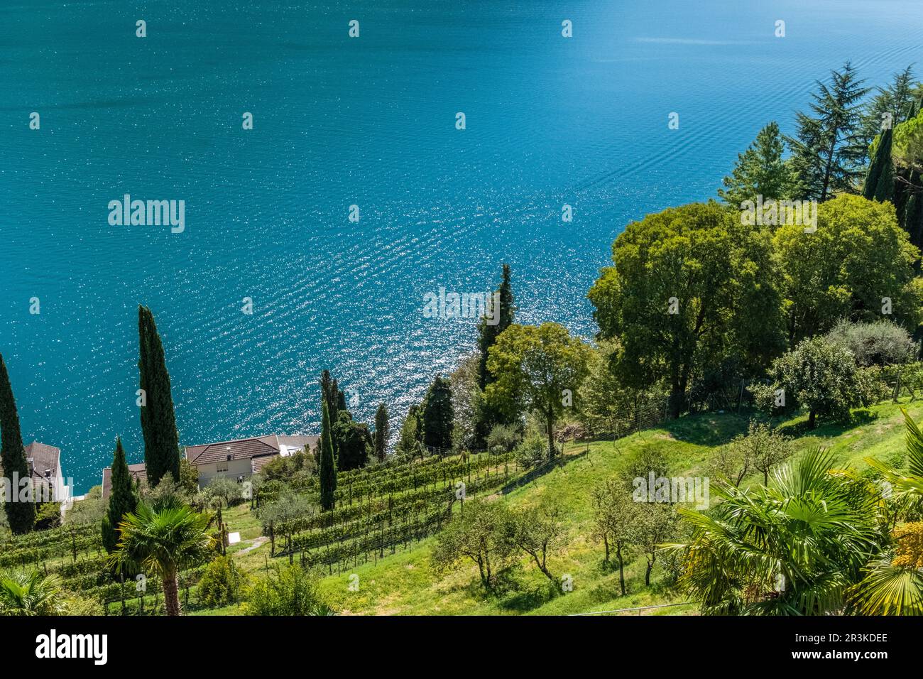 Lugano lake and serene nature from Monte Bre Stock Photo