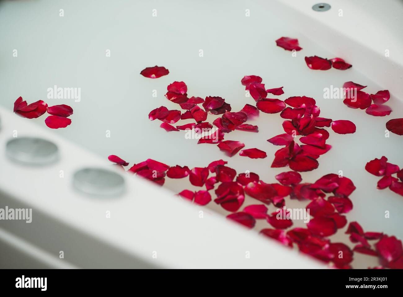 Red rose petals floating in bathtub with milk Stock Photo - Alamy