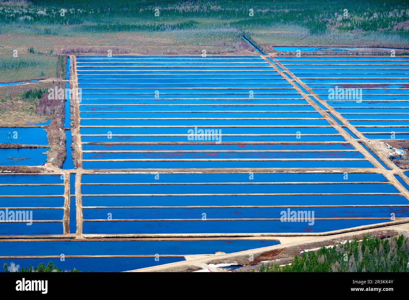 Aerial view of a cranberry crop, SainteMoniquedeHonfleur, Saguenay