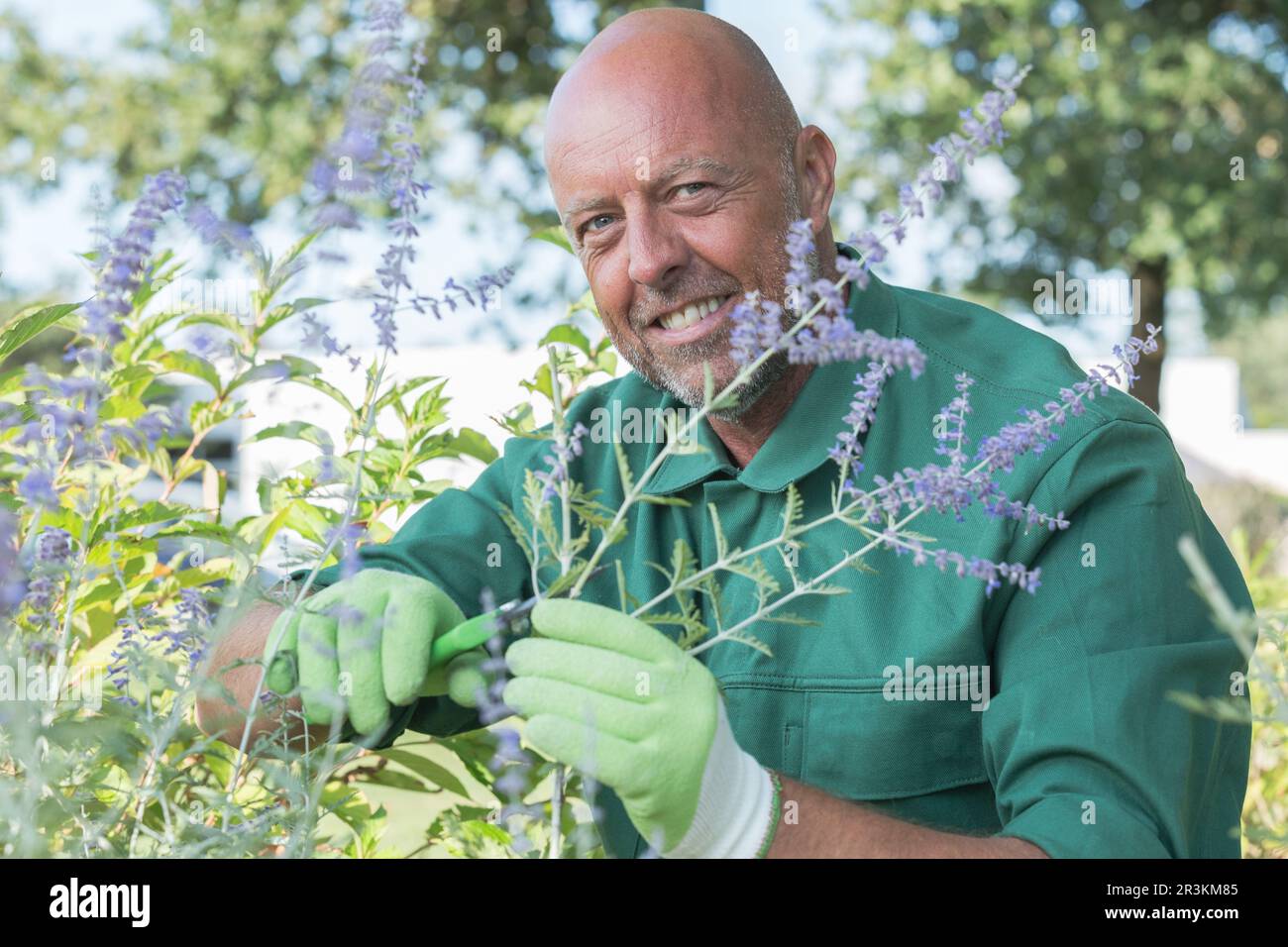 a male gardener working outdoors Stock Photo