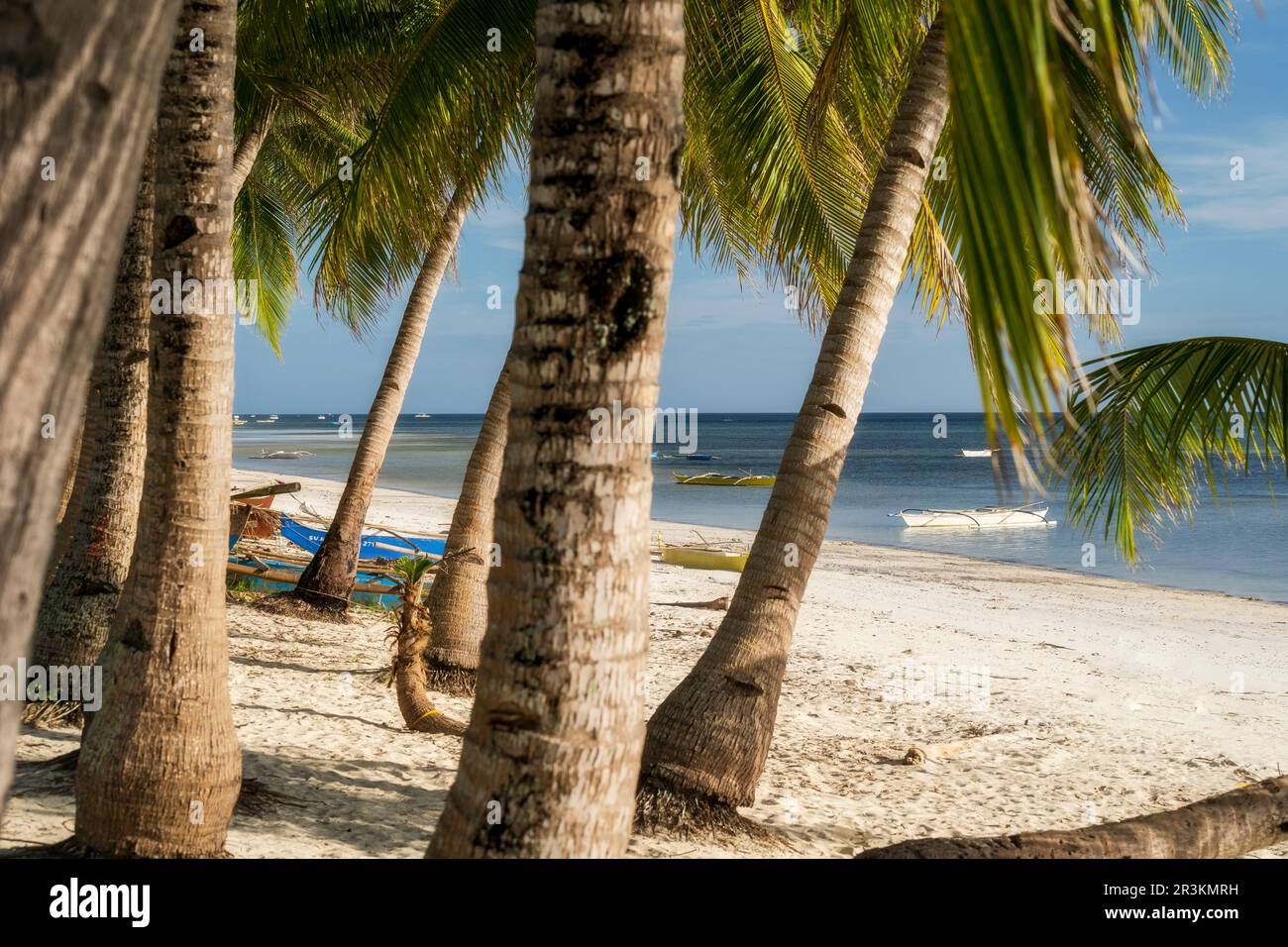 Siquijor Island Philippines with Palm trees and beach Stock Photo