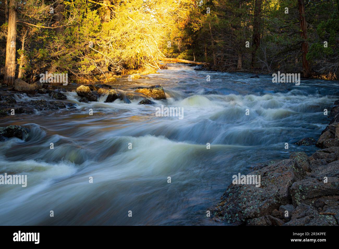 Pine Creek spring flows – Near Eagle Lake/Spalding in Lassen County