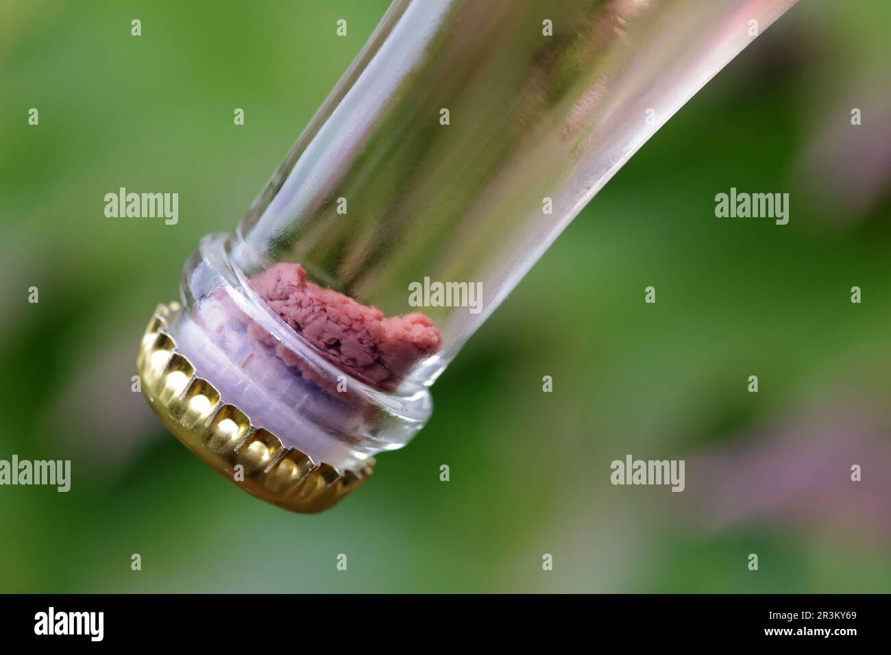 Sparkling wine production yeast collected in the neck of the bottle