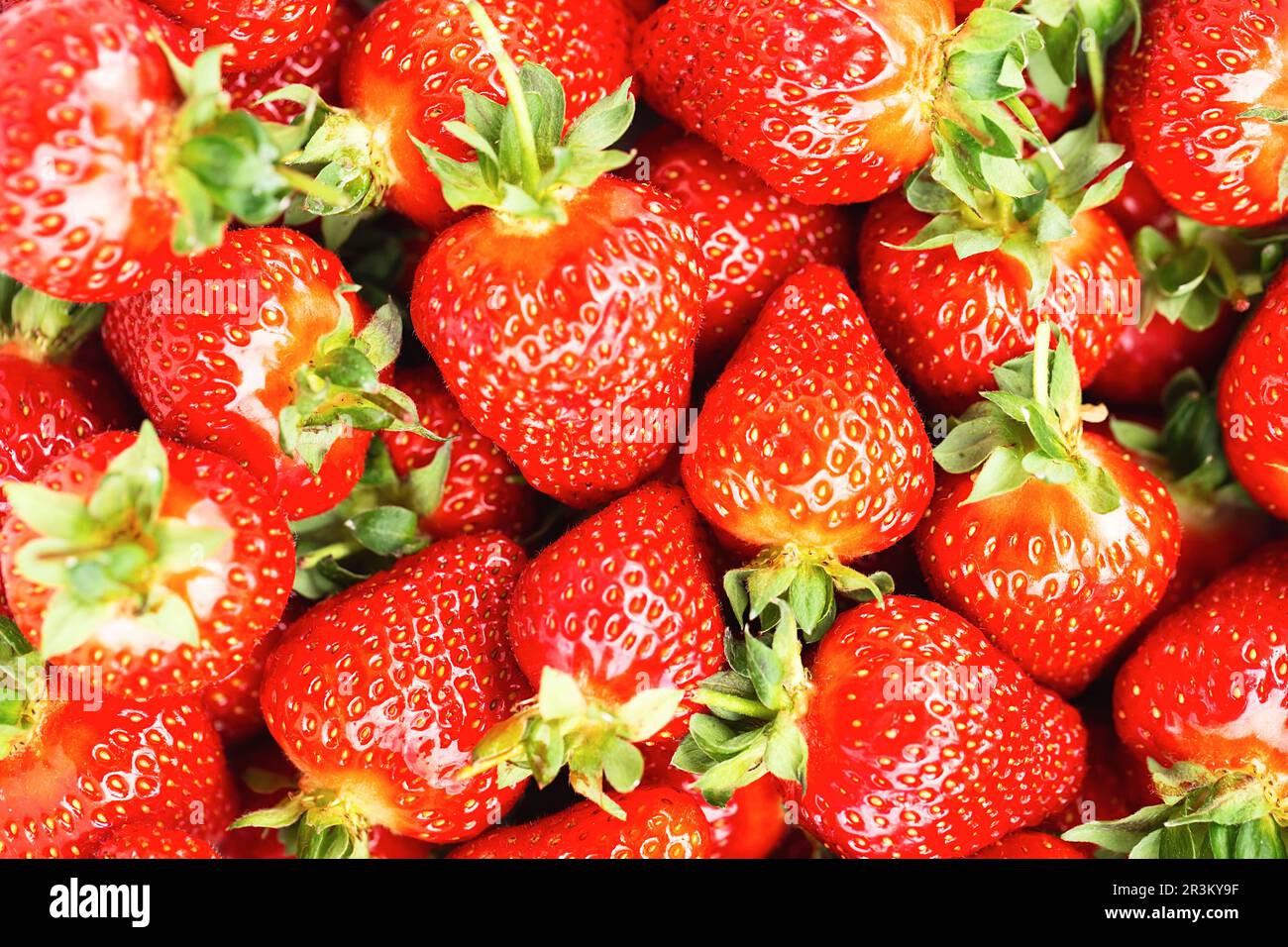 Ripe red strawberries. Strawberry background. Fresh organic red ripe Strawberry fruit background Stock Photo