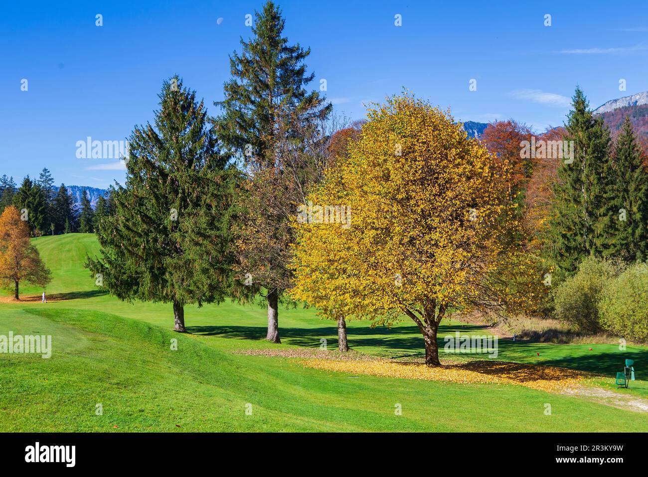 Autumn in the mountains. Beautiful autumn landscape Stock Photo