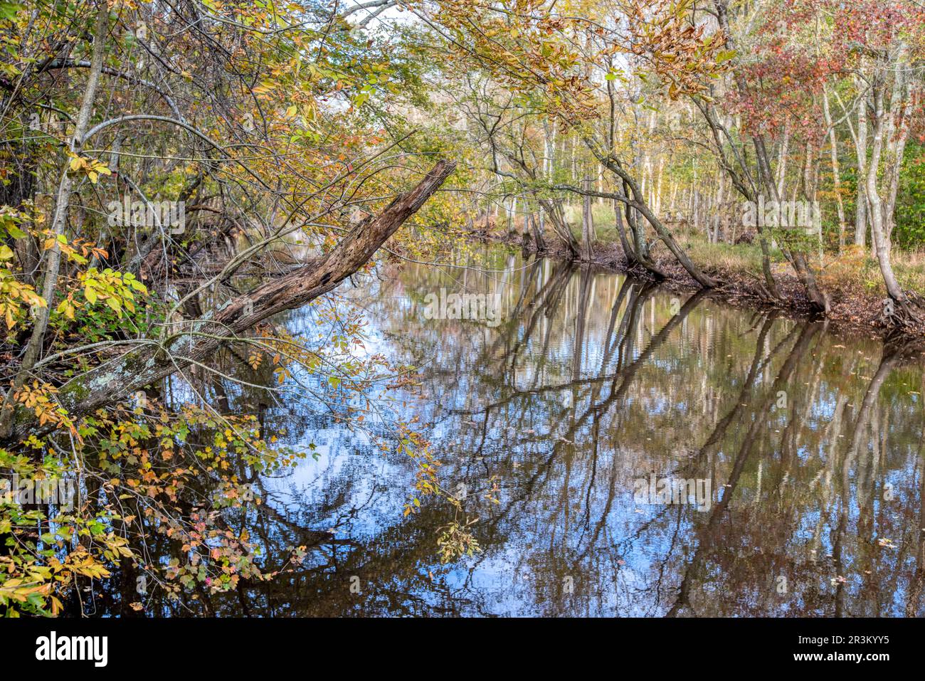 The scenic Pocomoke River in Snow Hill Maryland on an autumn day. Stock Photo