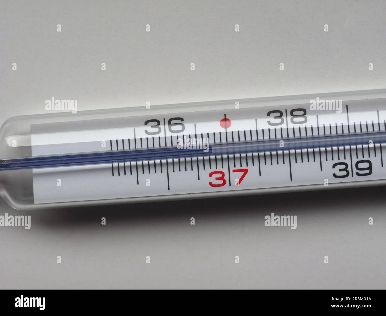 Body temperature thermometer Stock Photo Alamy