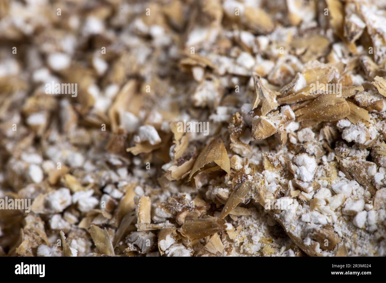 Barley malt for brewing beer Stock Photo Alamy