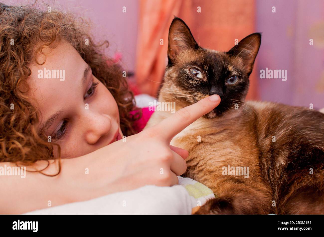 Portrait of girl touching a kitten's nose Stock Photo