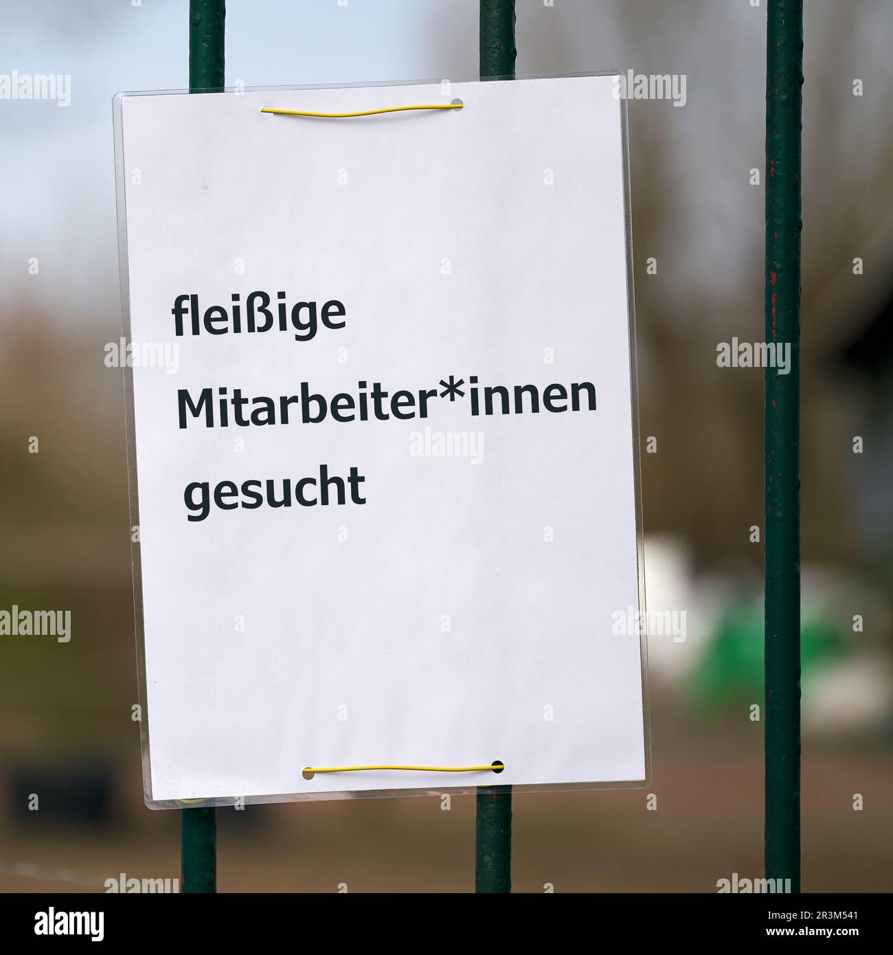 Diligent employees and female employees wanted Stock Photo Alamy