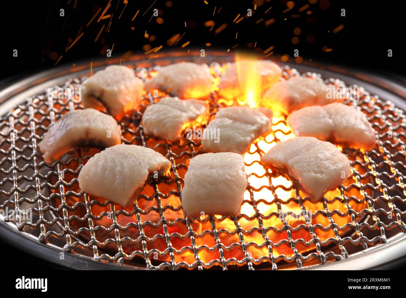 Korea traditional grilled eel food，jangeo gui is korean style grilled