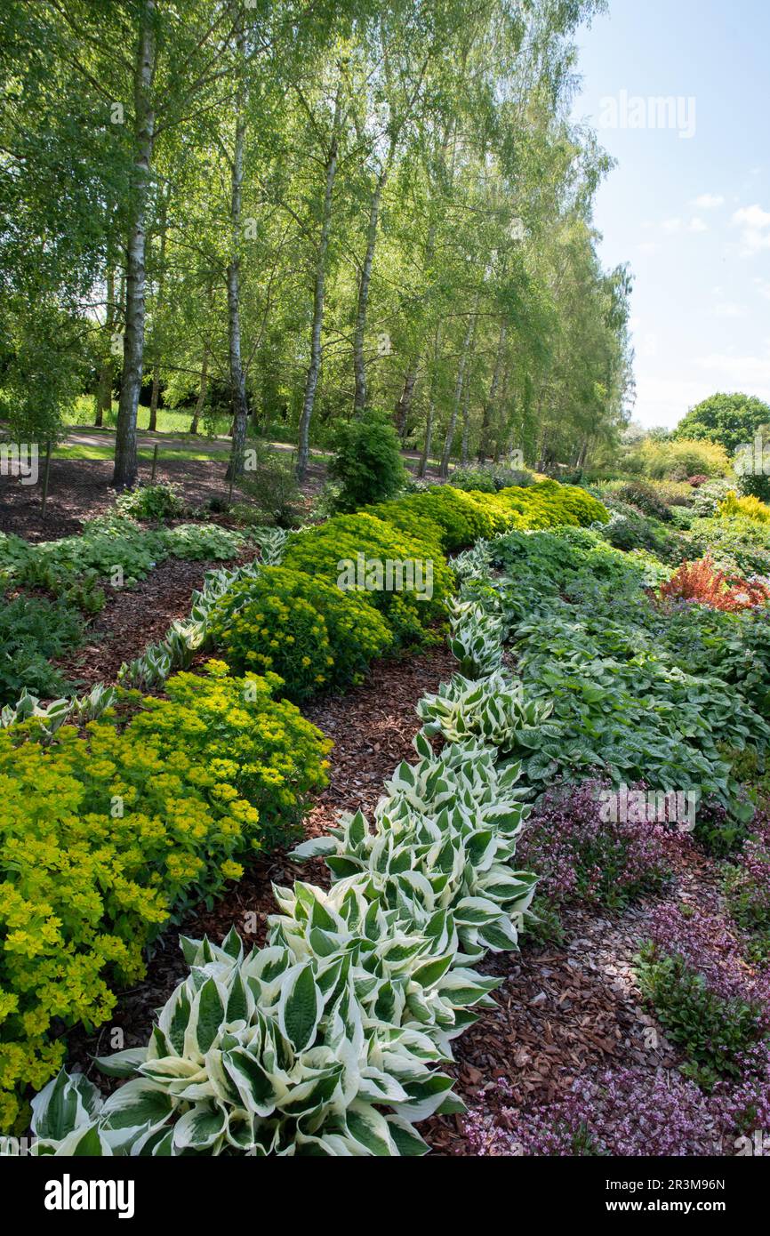 Shade planting at Breezy Knees Gardens Stock Photo