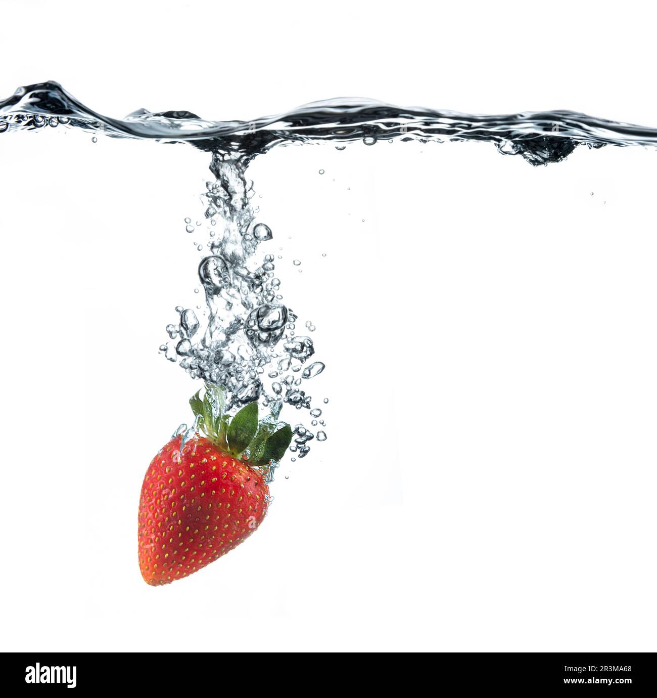 A vibrant red single strawberry dropped into crystal clear water, creating a trail of bubbles and waves on the surface of the water. Stock Photo