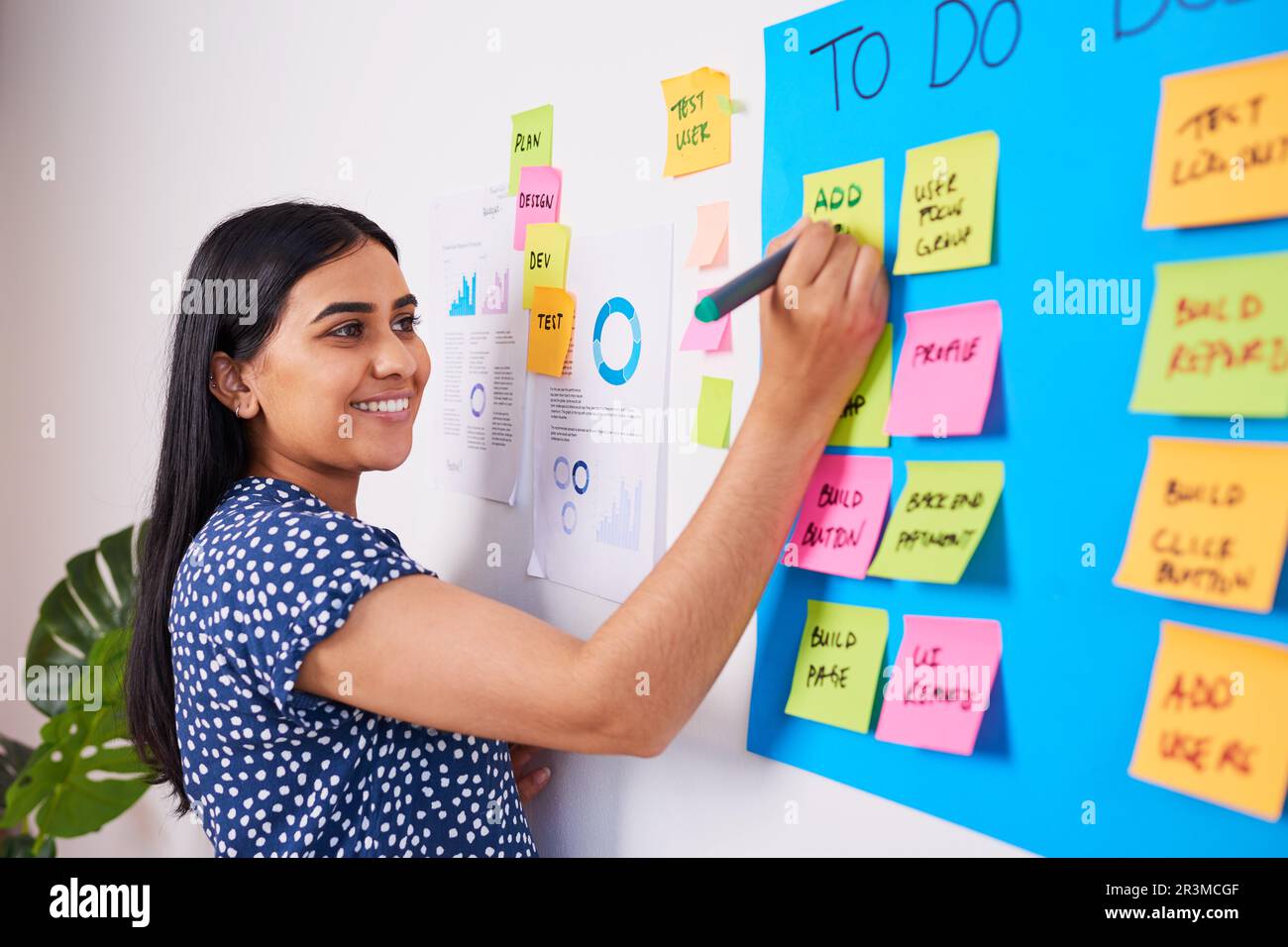 Project board woman indian hi-res stock photography and images - Alamy