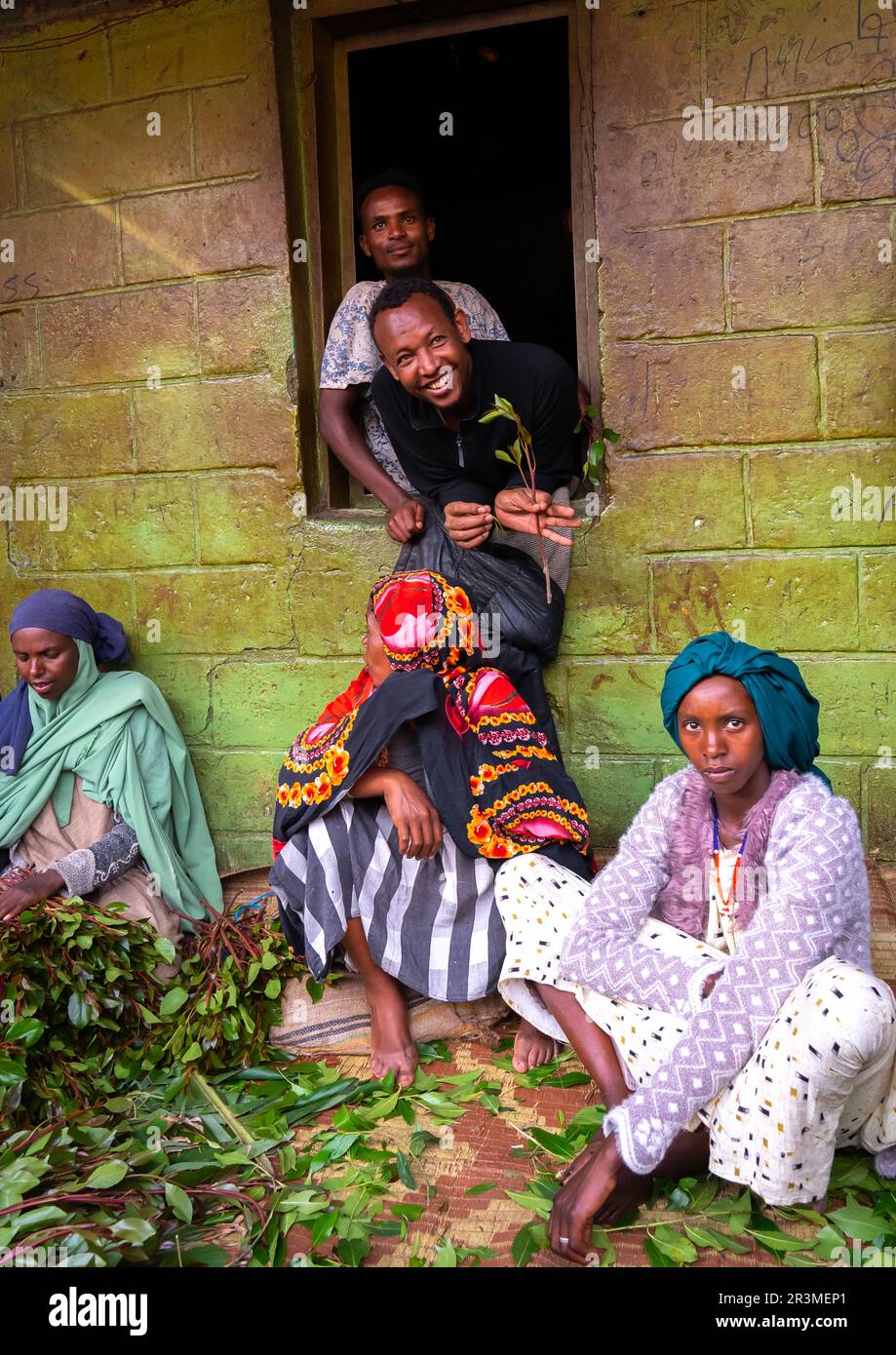Ethiopian people chewing khat, Harari Region, Awaday, Ethiopia Stock