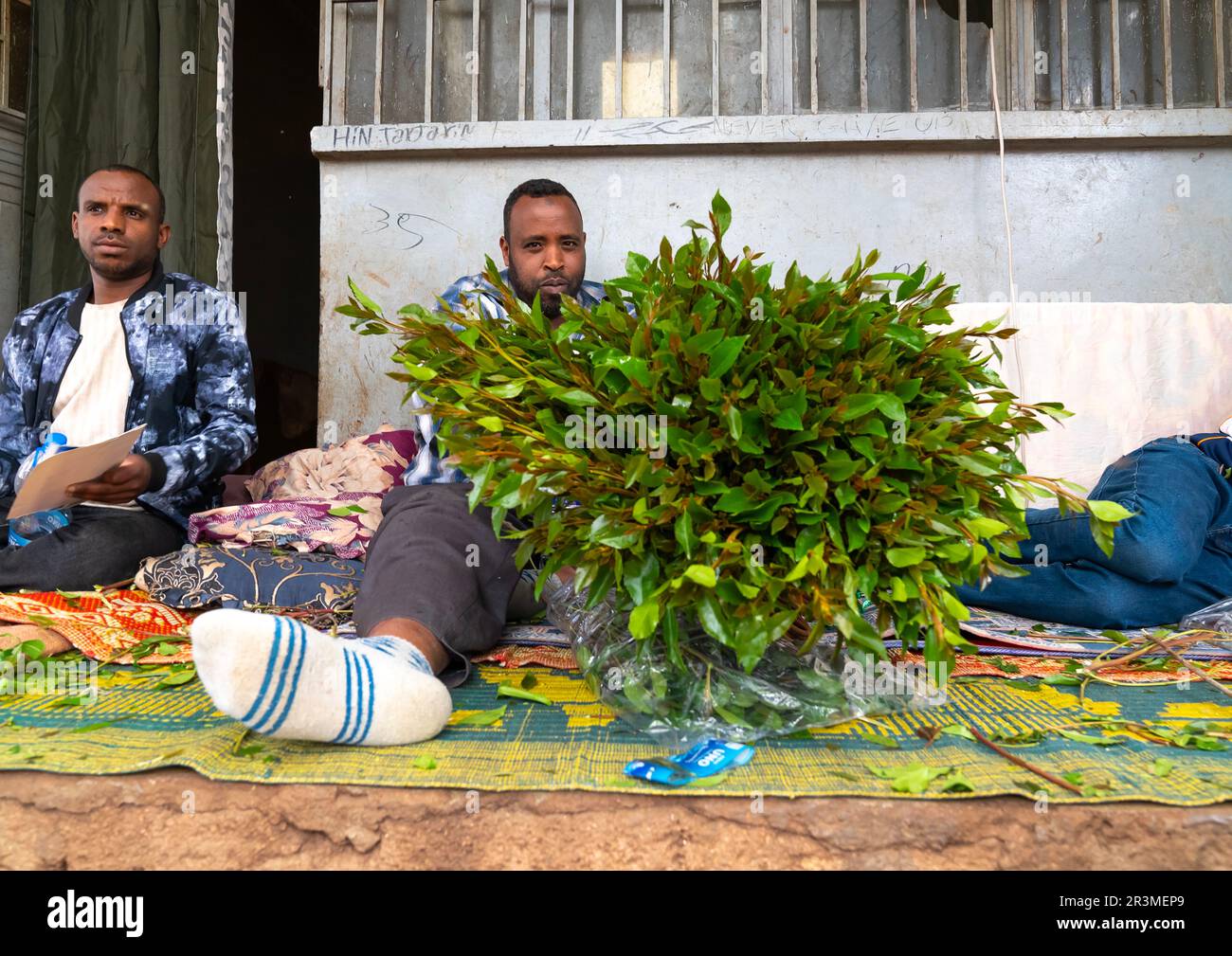 Ethiopian men chewing khat, Harari Region, Awaday, Ethiopia Stock Photo Alamy