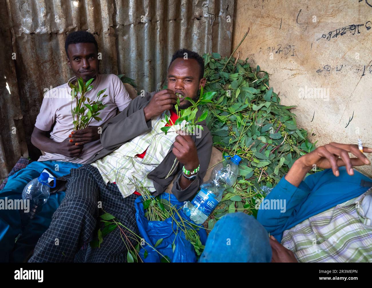 Ethiopian men chewing khat, Harari Region, Awaday, Ethiopia Stock Photo Alamy