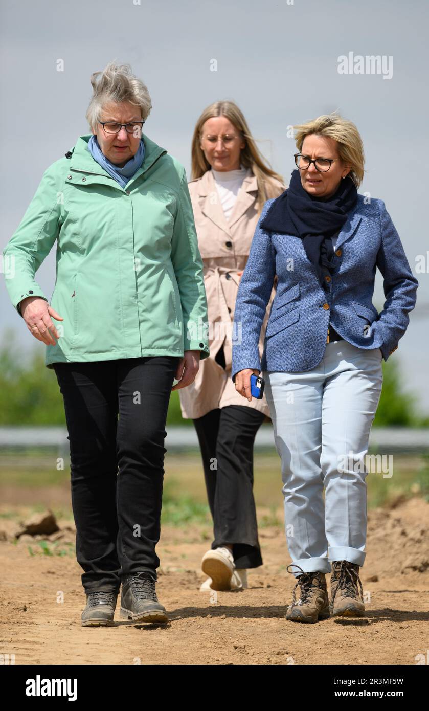24 May 2023, Saxony, Döbeln: Barbara Klepsch (CDU, r.), Minister for Culture and Tourism in Saxony, and Regina Smolnik (l), State Archaeologist of the Free State of Saxony, visit the excavations of the Saxony State Office for Archaeology on the construction site of the future 'Karls Erlebnisdorf'. Since the fall of 2021, the Saxony State Office for Archaeology has been conducting extensive excavations on the 17-hectare site of the future adventure village near Döbeln. With its great wealth of finds and immense size, the site near Döbeln-Gärtitz is one of the largest settlement sites of the Ear Stock Photo