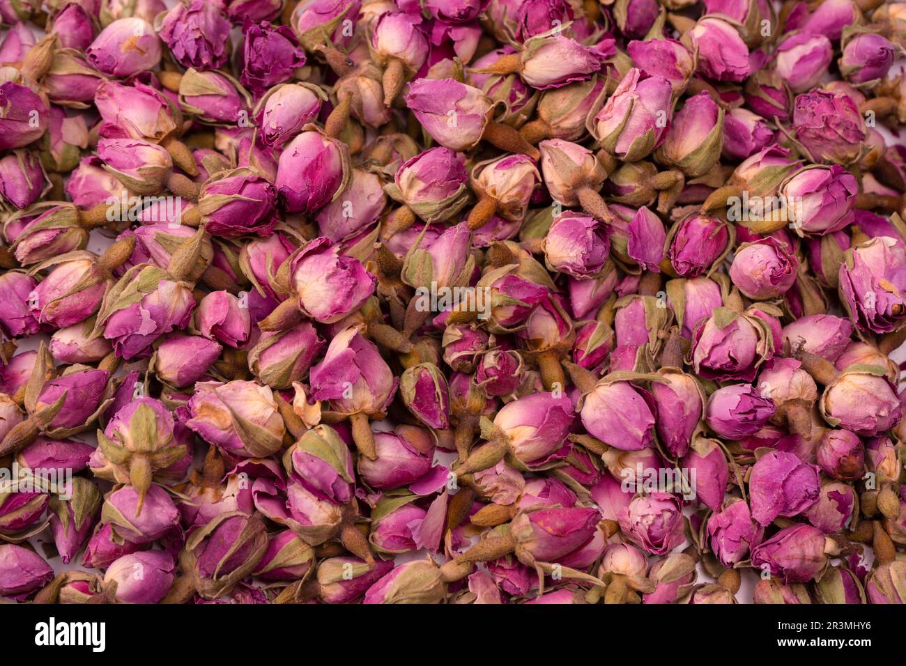 Dry tea roses isolated on a white background. Stock Photo