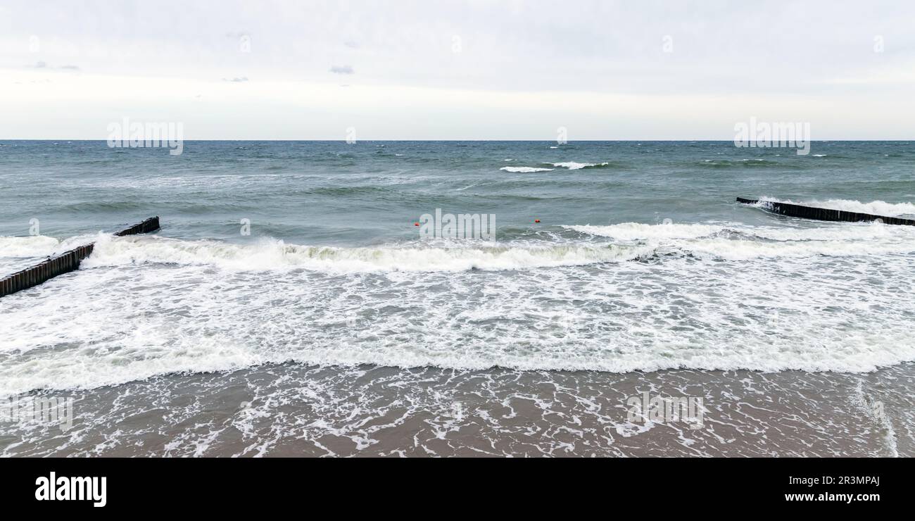 Порно Ронда Роузи