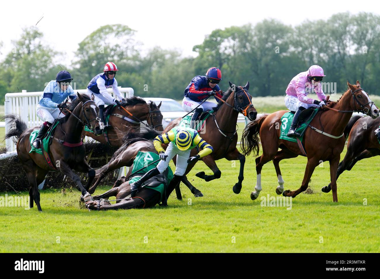 Finest View ridden by jockey James Martin falls down whilst competing