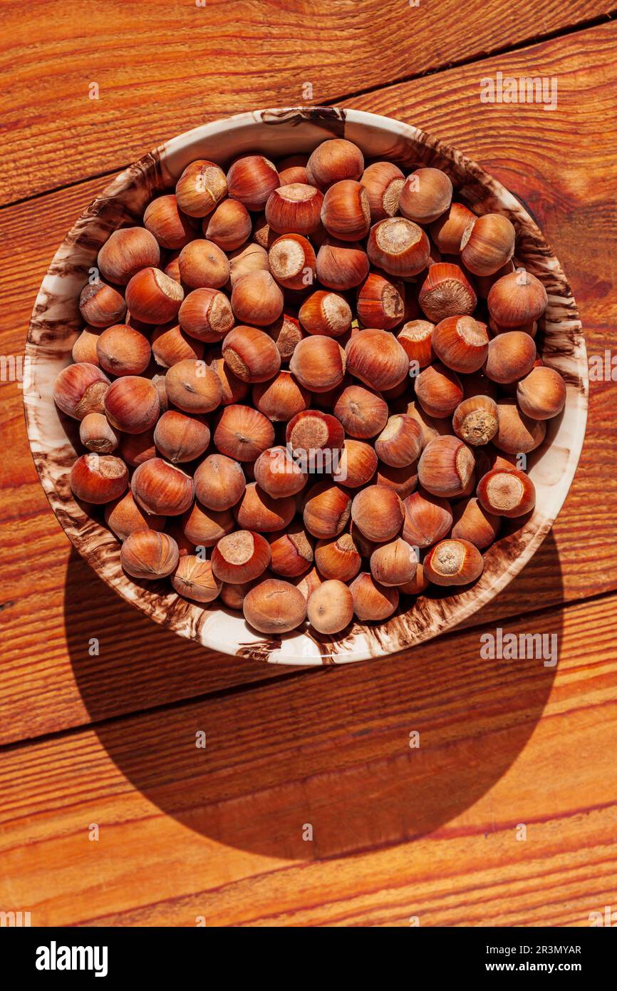 Hazelnuts in porcelain bowl on rustic wooden background. Raw fresh