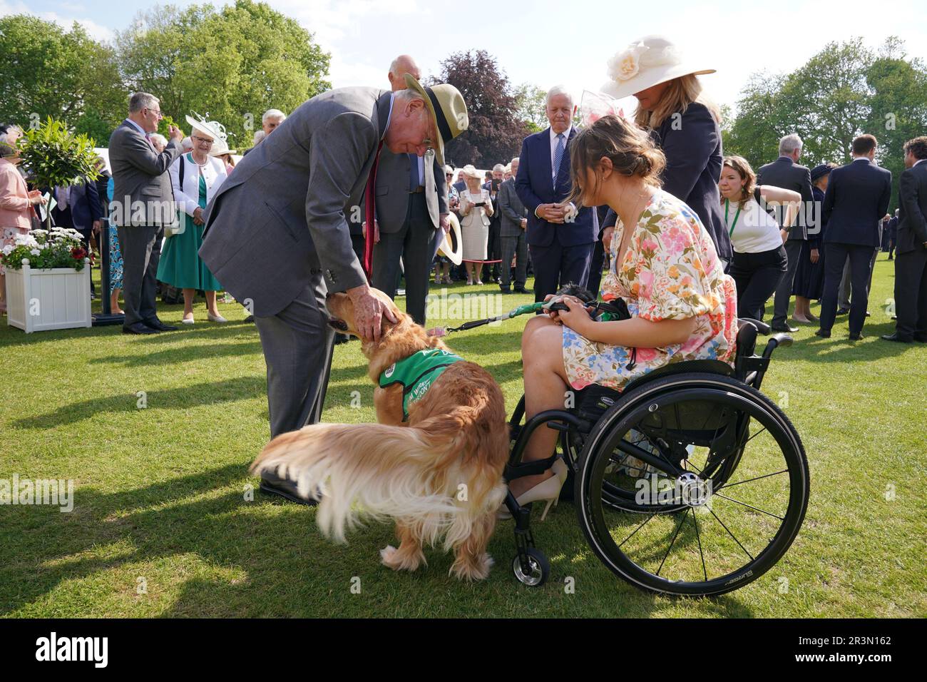 The Duke of Gloucester (left) pats Rumba, a mobility assistance dog owned Isabelle Atkins (right) during the Royal Kennel Club Garden Party at Buckingham Palace in London. Picture date: Wednesday May 24, 2023. Stock Photo
