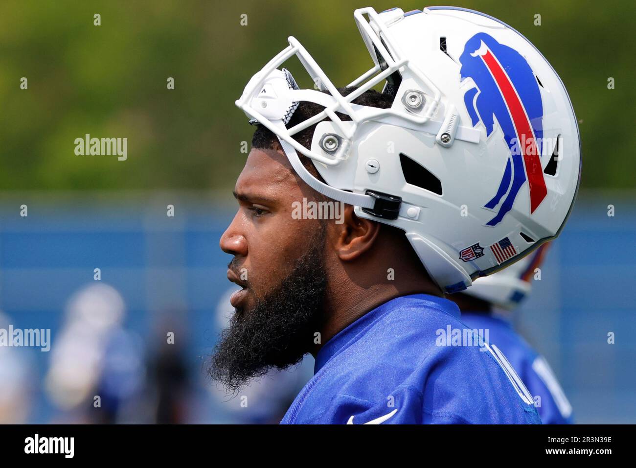 Buffalo Bills defensive Tackle Ed Oliver (91) looks on during an NFL
