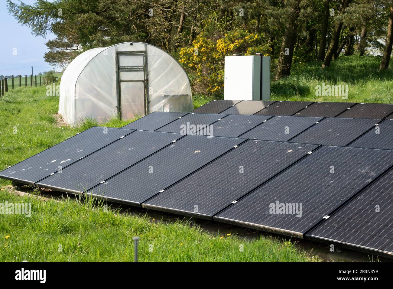 Line of ground level solar panels with polytunnel and trees in the background Stock Photo