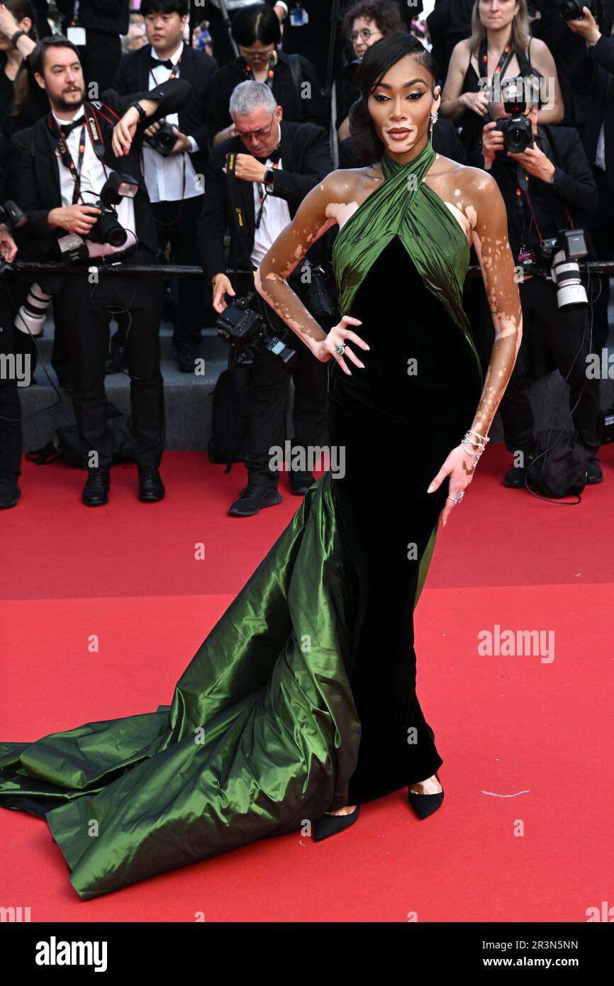 Winnie Harlow attending the premiere for La Passion de Dodin Bouffant