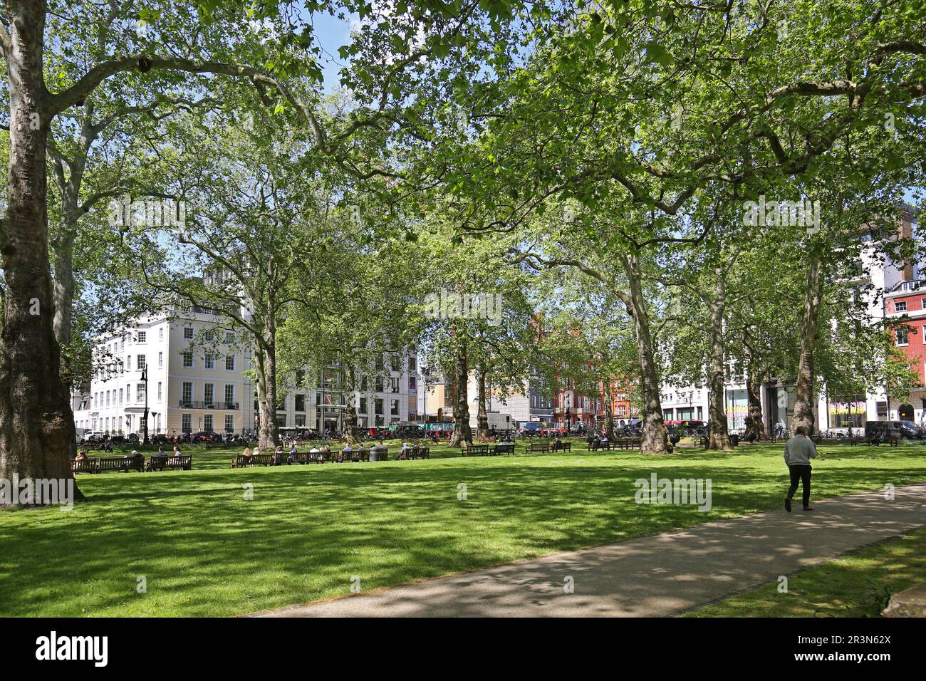Berkeley Square in London's wealthy Mayfair district. Shows the centre