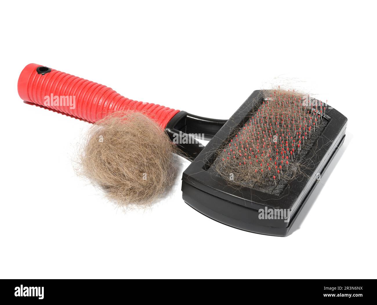 Plastic brush and combing out wool in animals and a tuft of gray cat hair on a white background Stock Photo