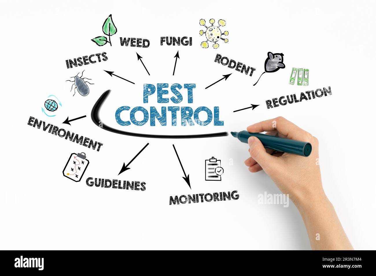 Pest Control Concept. Chart with keywords and icons on white background